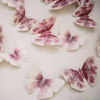 Galina Markova's Photo