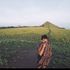 Ibnu Kurniawan's Photo