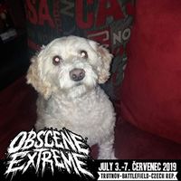 Esau García's Photo