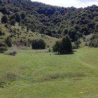 silvia sciacca's Photo