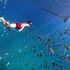 Enrico Sgrosso's Photo