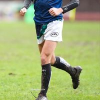 Ugo Bourgon的照片