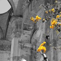 Sarah Läubli's Photo