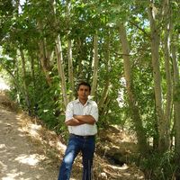 Mohammad  Khorram's Photo