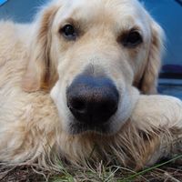 Фотографии пользователя Kim Martin