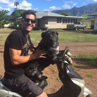 Фотографии пользователя Brandon Garewal