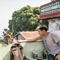 Harvey Zakhar L. Lu的照片