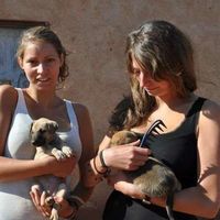 Dagi Blöhbaum's Photo