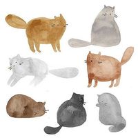 Liz Pavlova的照片