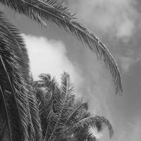 Michael Michaelides的照片