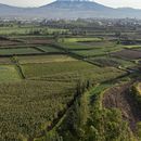 Viaja a AREQUIPA's picture