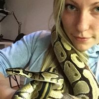 Фотографии пользователя Ylva Bjärkelöv