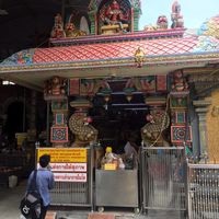 Le foto di Piyush Jain