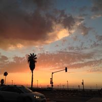 Yoav Steinberger's Photo