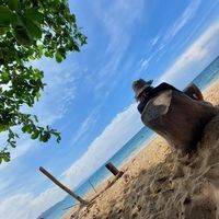 Diego Ramírez的照片