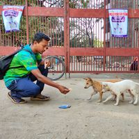 Ashraful Islam Shaful's Photo