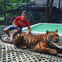 Manuel Palacios's Photo