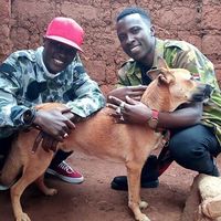 Bible Koheleti's Photo