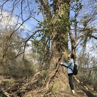 Fotos von Sophie Born