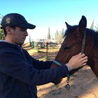 Sehas Hussein Gasm的照片