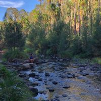 Ana Clara Antonelli's Photo