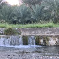 HATEM ALSIYABI的照片