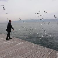 Ahmet Sayılgan的照片