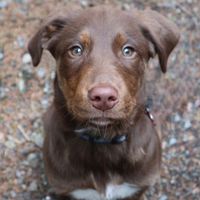 Photos de Nicole and Darrin Phillip