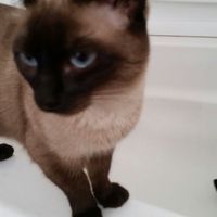 Elizabeth Dorton's Photo