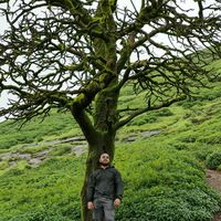 Alex Monichan的照片