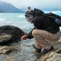 Alex Bascuñan's Photo