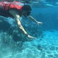 Fotos de Solyman Ahmed