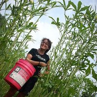 Ariel Burriss的照片