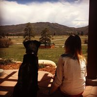 Photos de Elise Mackay