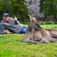 Paulistravelling's Photo