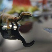 anne laure vincent的照片