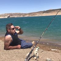 masoud yazdani的照片