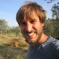 andrea angelini's Photo