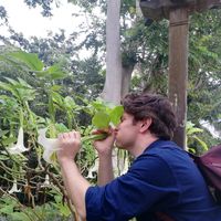 Líggjas á Váli的照片