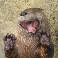 Steffi van Kladeradatsch的照片