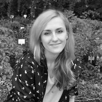 Olya Mischenko的照片