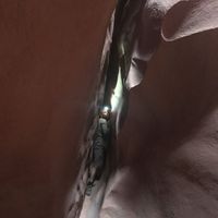 Eamon Conheady的照片