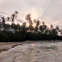 edwards david's Photo