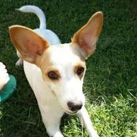 Mirta Viviana Juarez Nasso's Photo