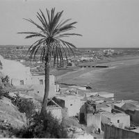 Фотографии пользователя yassine elmrabet