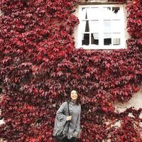 Hanife Işık的照片