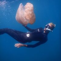 Abhinesh  Naikoti's Photo