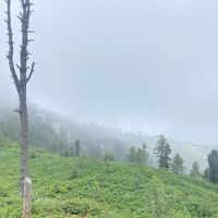 Karamvir Singh's Photo