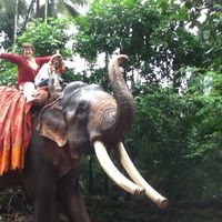 Kerewin Hartland的照片