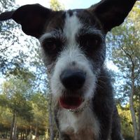 Fotos von Abel Medrano Viva